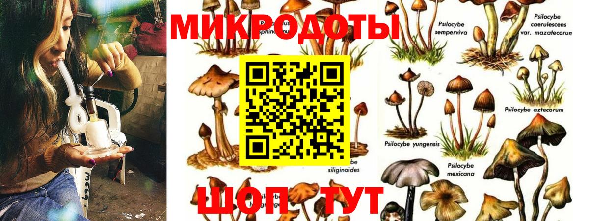Янаул  Галлюциногенные грибы MAGIC MUSHROOMS  Вход с VPN  Галлюциногенные грибы ЛСД 